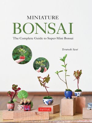 cover image of Miniature Bonsai